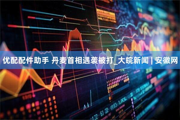 优配配件助手 丹麦首相遇袭被打_大皖新闻 | 安徽网