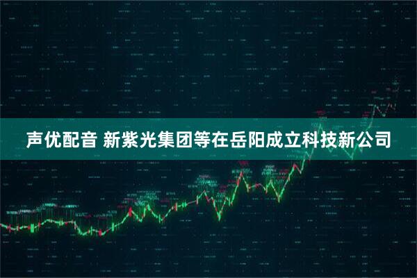 声优配音 新紫光集团等在岳阳成立科技新公司