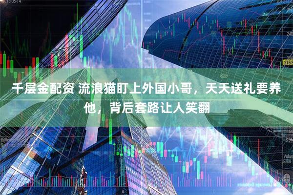 千层金配资 流浪猫盯上外国小哥，天天送礼要养他，背后套路让人笑翻