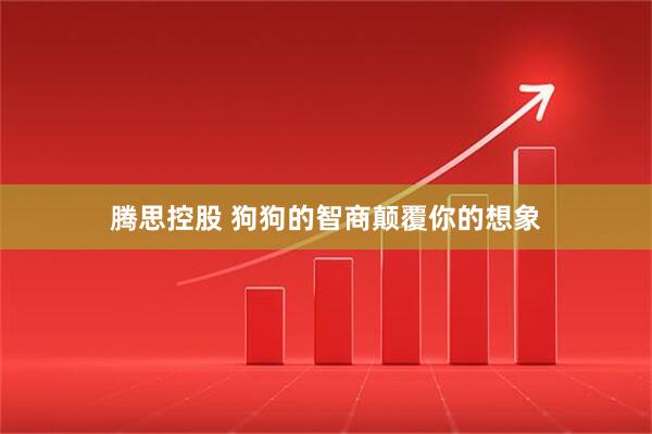 腾思控股 狗狗的智商颠覆你的想象