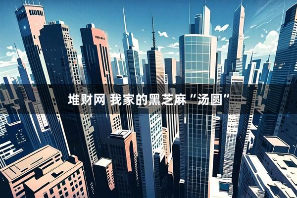 堆财网 我家的黑芝麻“汤圆”