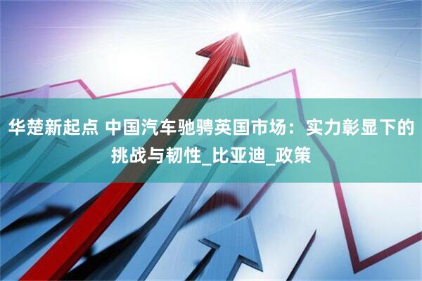 华楚新起点 中国汽车驰骋英国市场：实力彰显下的挑战与韧性_比亚迪_政策