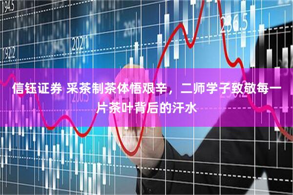 信钰证券 采茶制茶体悟艰辛，二师学子致敬每一片茶叶背后的汗水