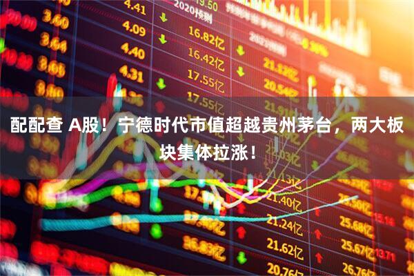 配配查 A股！宁德时代市值超越贵州茅台，两大板块集体拉涨！
