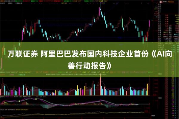 万联证券 阿里巴巴发布国内科技企业首份《AI向善行动报告》