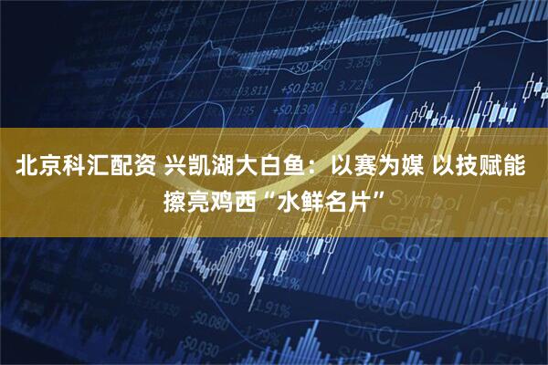 北京科汇配资 兴凯湖大白鱼：以赛为媒 以技赋能 擦亮鸡西“水鲜名片”
