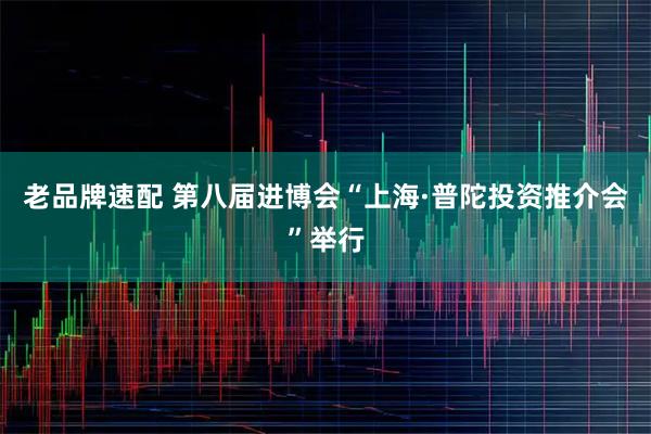 老品牌速配 第八届进博会“上海·普陀投资推介会”举行